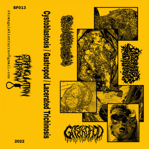 Gastropod : Gastropod - Cystoblastosis - Lacerated Trichinosis